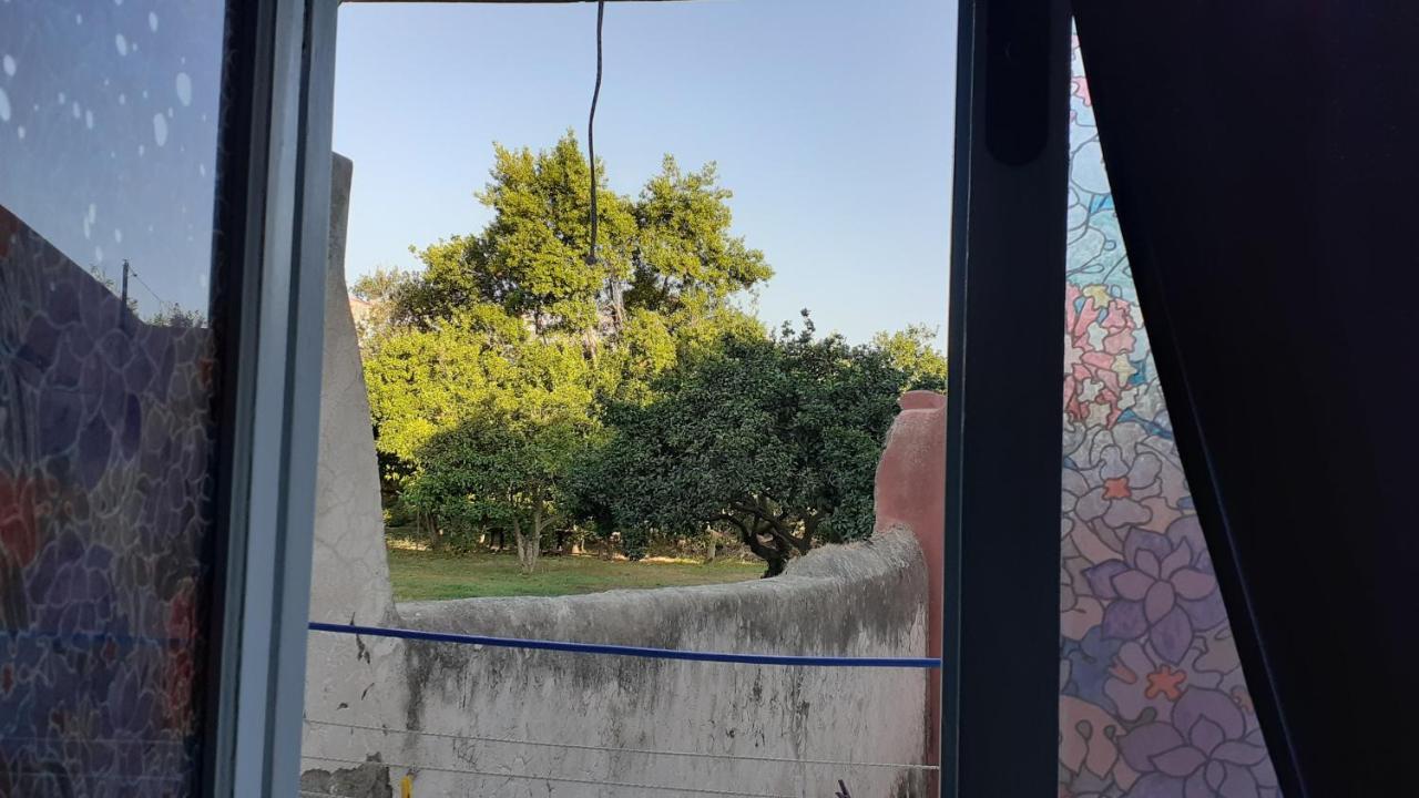 הוילה La Graziella Monolocale Procidano מראה חיצוני תמונה